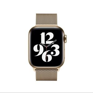 Apple Brand Gold Watch Band - Magnetic Clip